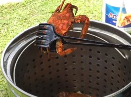 Steamer Pot for Crabs image 3