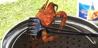Steamer Pot for Crabs image 3
